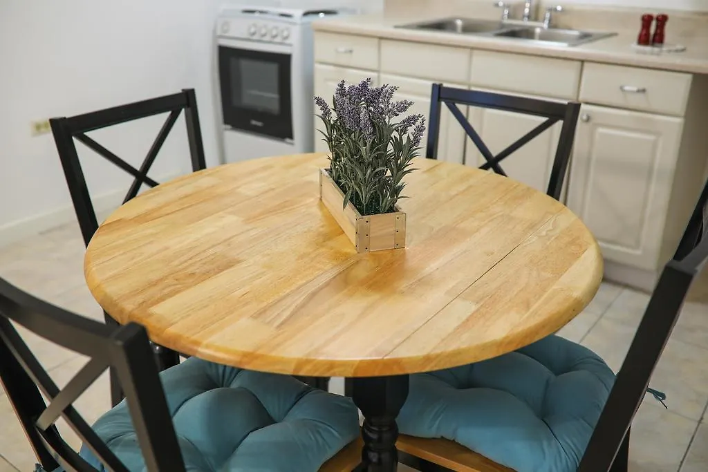 New Kingston'S Deluxe Apartment 金斯敦